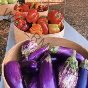 Round wooden baskets brimming with fresh produce at an outdoor market stand. The foreground basket holds glossy purple eggplant, including striped Italian varieties, while baskets behind it overflow with red, orange, yellow, and green bell peppers. A basket of green tomatoes sits at the back, all displayed on a metal table over a wood-chip ground.