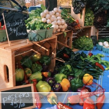 A vibrant produce stand at an autumn farmers' market. A wide spread of bell peppers and chile peppers in green, red, orange, yellow, and purple covers a blue-striped cloth, with chalkboard signs reading "shishito $4/carton" and "peppers $5/lb." Behind them, wooden crates hold cartons of shishito peppers, bundles of white salad turnips, heads of green and red lettuce, and leafy greens, with cars and fall foliage in the background.