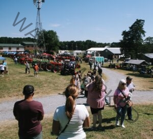 A large crowd gathers at an outdoor farm heritage festival on a clear, sunny day. In the foreground, visitors of all ages walk along grassy paths and a gravel lane, some carrying drinks and bags. To the left, dozens of restored antique tractors in red, green, and blue are lined up in rows on the grass for display, with attendees browsing between them. A tall metal windmill rises against the blue sky, and farm buildings—including a volunteer fire department, open equipment sheds, and barns—frame the grounds. Event tents, portable restrooms, and mature trees fill out the background.