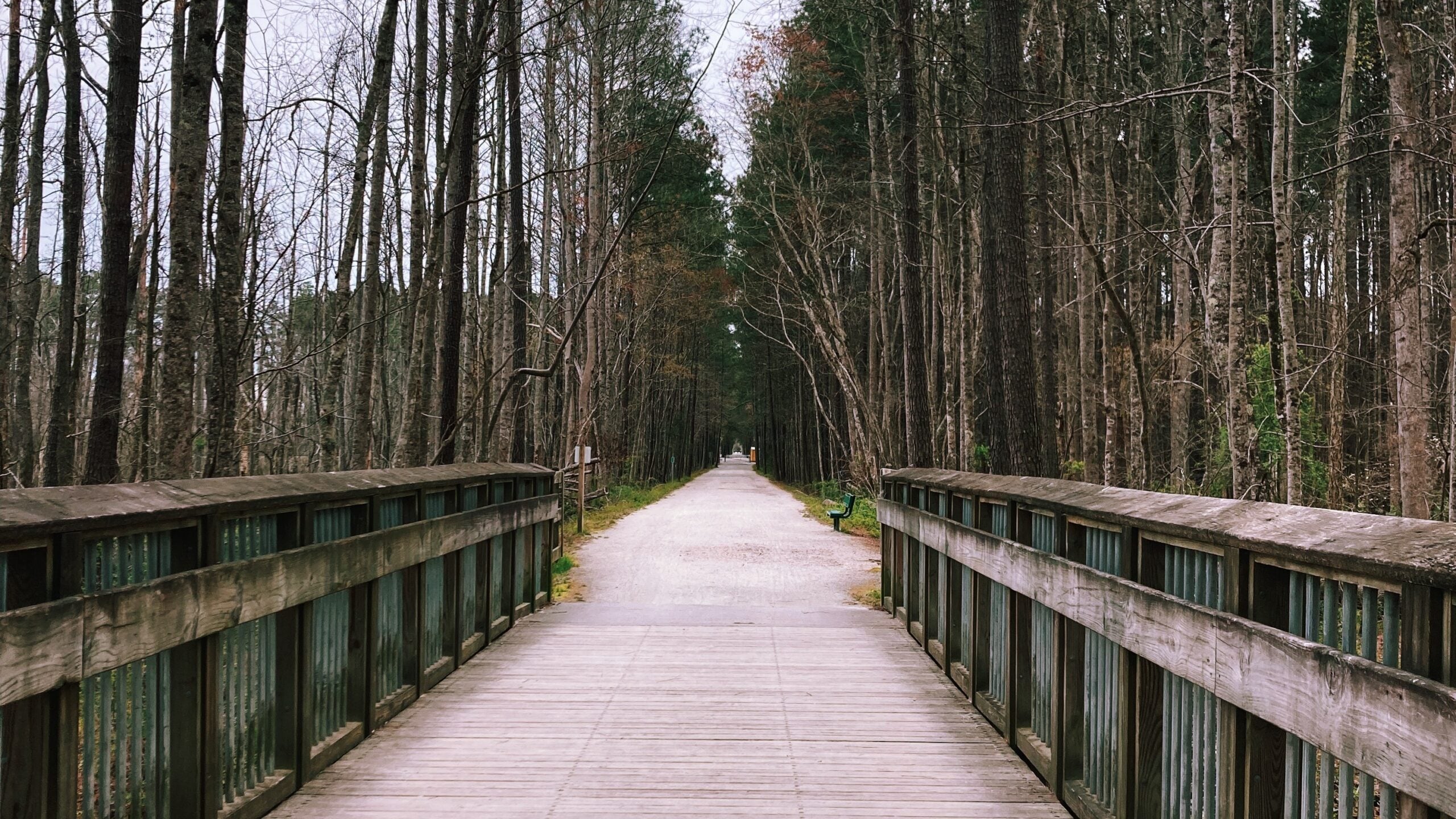 A wooden boardwalk bridge with weathered railings leads forward onto a straight, flat crushed-stone trail that stretches into the distance through a forest of tall, bare-branched trees. A green metal bench sits beside the path, and small trail signs are visible farther down. The leafless winter canopy and gray overcast sky give the scene a quiet, dormant feel. The flat, even grade reflects the trail's origins as a former railroad bed.