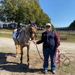A woman in a white ROC Equestrian cap, sunglasses, and a maroon-and-navy jacket stands smiling beside a saddled appaloosa pony wearing a navy ear bonnet and bridle. She holds a bright pink lead rope. Behind them: a trailer parking area, jump standards, and trees under a clear blue sky.