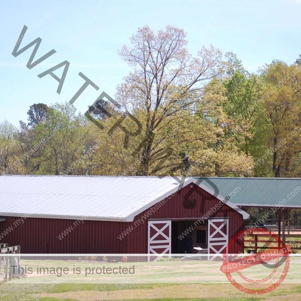 Exterior view of a tidy red barn with white cross-buck sliding doors and a silver metal roof at New Beginnings Farm. A green-roofed covered arena extends to the right, and post-and-rail fencing borders a grassy paddock and gravel drive in the foreground. Mature hardwood trees in bright spring green surround the property under a clear blue sky.
