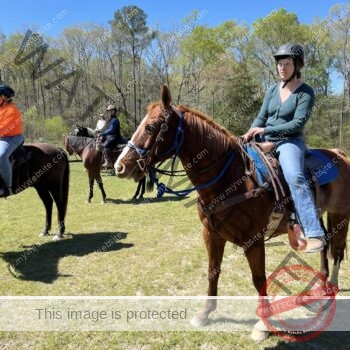 A young woman in a dark teal long-sleeve top, blue jeans, and a black riding helmet sits astride a chestnut horse with a flaxen mane in a sunlit grassy clearing. The horse wears a Western-style saddle with a turquoise blue saddle pad and a blue rope halter under the bridle. Three other riders on horses are visible in the background, gathered near a tree line of bare early-spring trees under a clear blue sky.