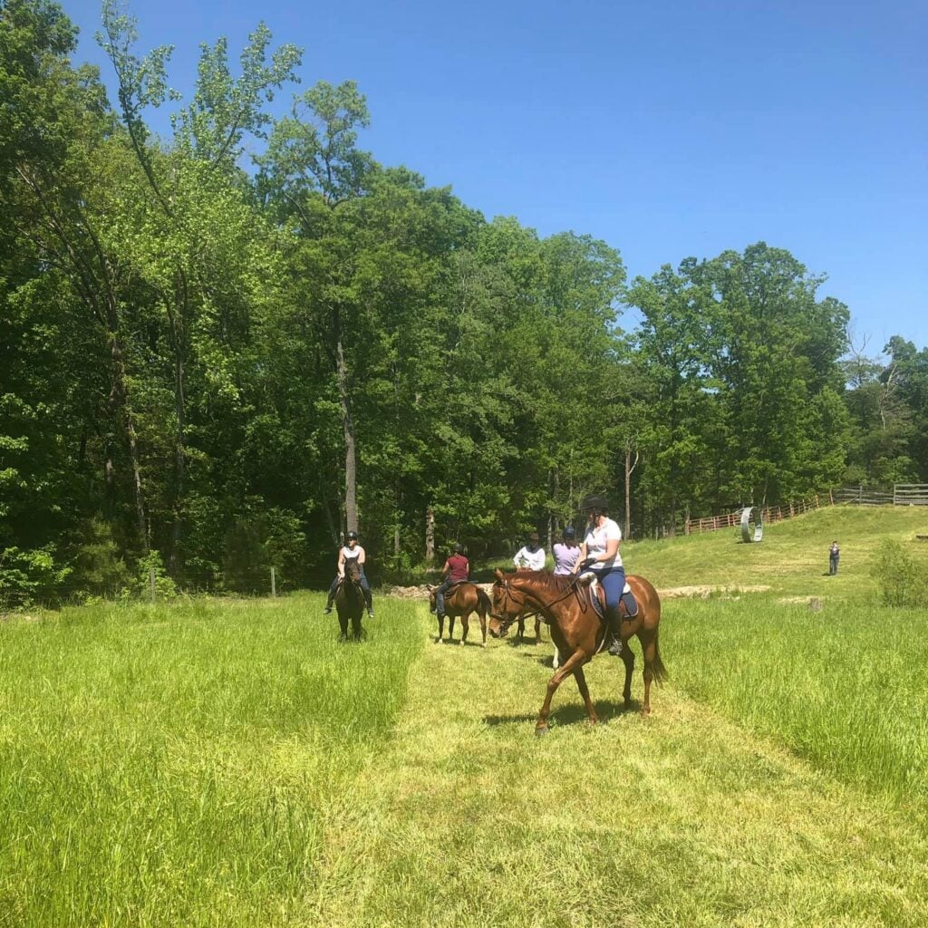 A group of five riders on horseback move through a long grassy clearing bordered by tall green trees under a bright blue sky. The lead rider, in a white shirt and black helmet on a chestnut horse, is in the foreground at right, while the others follow at varying distances in single file. A wooden fence and what appears to be a metal trail obstacle are visible at the right edge of the clearing, and a person stands at far right watching the group.
