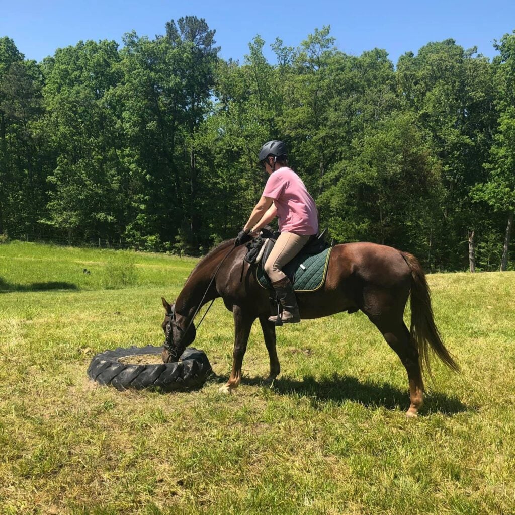 A rider in a pink t-shirt, beige breeches, tall brown riding boots, and a black helmet sits astride a chestnut horse with a long flowing mane in a sunlit pasture. The horse has lowered its head to investigate a large black tractor tire lying flat on the ground, an obstacle commonly used in trail and obstacle training. A wall of green trees rises behind them under a clear blue sky.