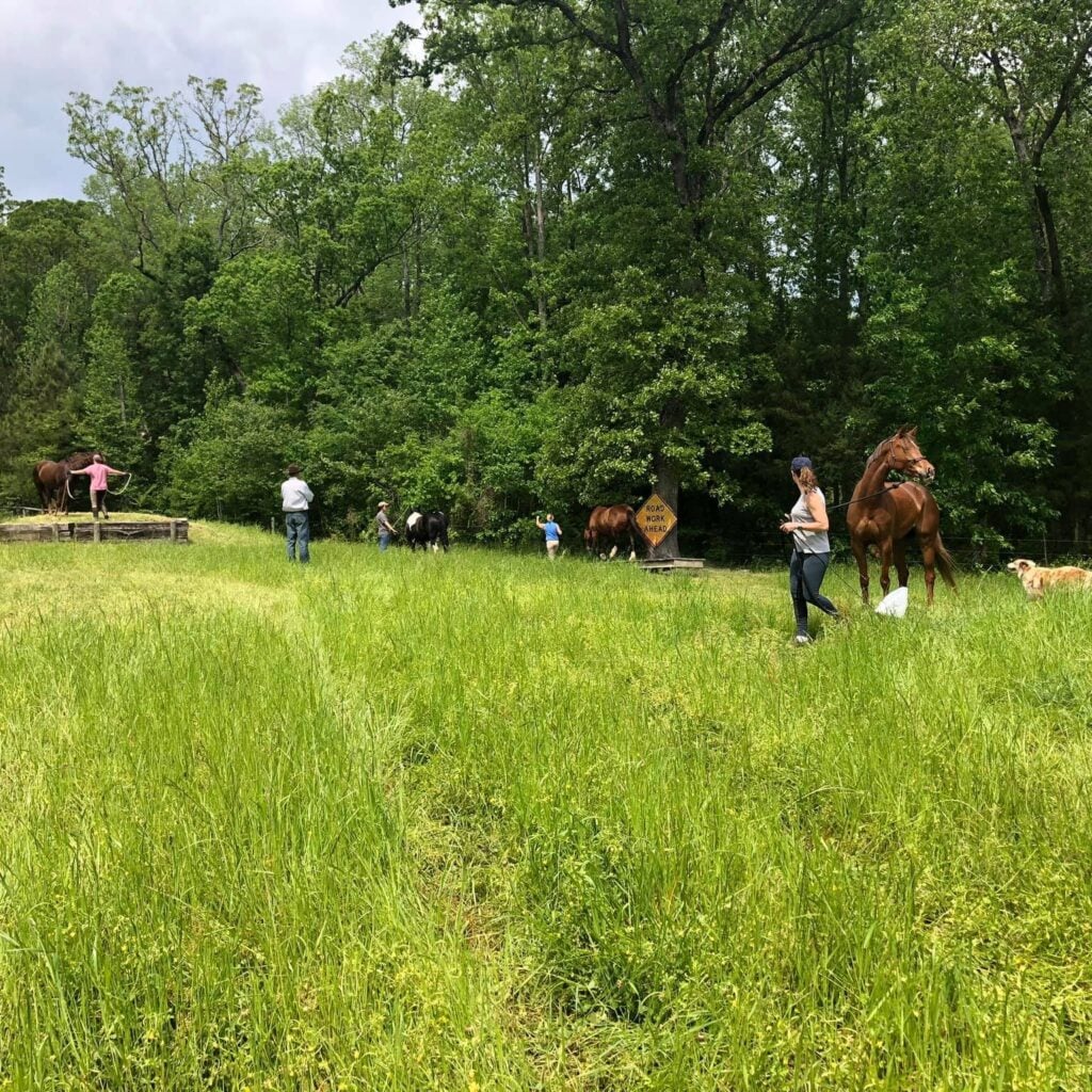 A wide pasture scene with several people working with horses in a tall grassy field bordered by lush green trees. In the foreground at right, a woman in a gray tank top and baseball cap leads a chestnut horse on a long lead rope, with a red and white Australian shepherd dog walking nearby. In the middle distance, riders and handlers work with a black-and-white pinto horse and another chestnut horse near a yellow "Road Work Ahead" sign mounted on a wooden frame. At far left, another person works with a horse near a wooden platform.