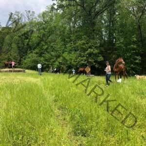 A wide pasture scene with several people working with horses in a tall grassy field bordered by lush green trees. In the foreground at right, a woman in a gray tank top and baseball cap leads a chestnut horse on a long lead rope, with a red and white Australian shepherd dog walking nearby. In the middle distance, riders and handlers work with a black-and-white pinto horse and another chestnut horse near a yellow "Road Work Ahead" sign mounted on a wooden frame. At far left, another person works with a horse near a wooden platform.