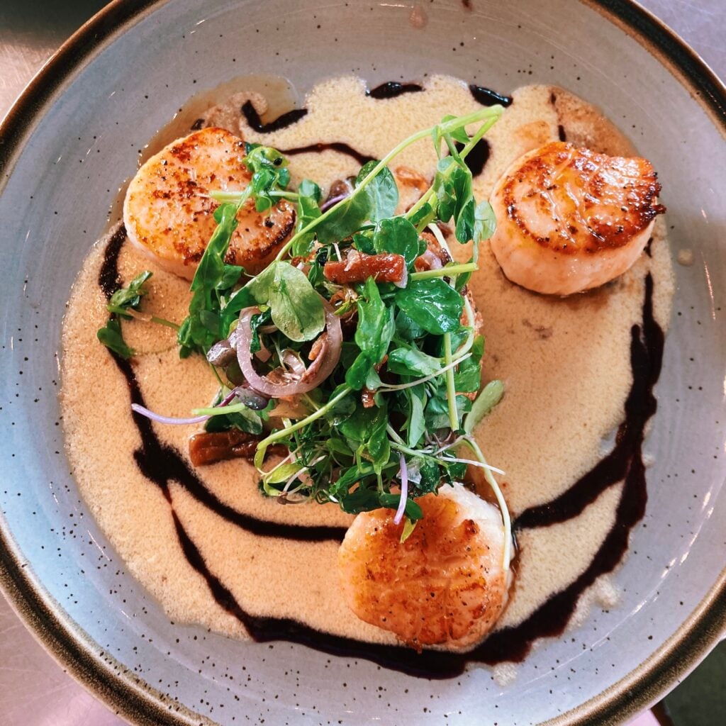 An overhead close-up of a plated scallop dish at Cafe Root Cellar. Three golden, pan-seared scallops are arranged around the rim of a speckled stoneware bowl atop a pool of creamy, frothy sauce drizzled with a dark balsamic reduction in a looping pattern. A generous tangle of fresh watercress and pea microgreens, thinly sliced shallots, and bits of crisp bacon is mounded in the center. The plating is elegant and restaurant-style, lit with soft natural light.