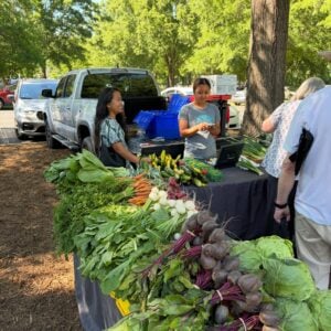 Two farmers market vendors stand behind a long table heaped with freshly harvested vegetables on a sunny day. The display is full and colorful: bunches of beets with deep-red roots and leafy tops in the foreground, alongside carrots, white turnips, radishes, bok choy, summer squash, cucumbers, cabbage, and green onions. One vendor smiles toward the produce while the other looks at a phone near a card-reader checkout. A customer in a white shirt browses at right. Behind the stand, a pickup truck loaded with blue harvest crates is parked under a canopy of green shade trees.