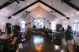 The interior of Starrlight Meadery's tasting room, a bright open space with a high vaulted ceiling crossed by dark wood beams, ceiling fans, track lighting, and a central chandelier. A reclaimed-wood tasting bar stands at the far end beneath an "OPEN" window sign, staffed and lined with bottles. Long wooden communal tables with benches and metal chairs fill the polished dark-wood floor, where several guests sit and chat. Hexagonal shelves of mead bottles and framed art decorate the gray walls.