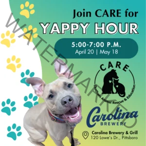 Promotional graphic for Yappy Hour hosted by CARE (Chatham Animal Rescue & Education) at Carolina Brewery & Grill, 120 Lowe's Dr., Pittsboro. 5:00–7:00 PM on April 20 and May 18. Features a photo of a smiling tan pit bull mix puppy against a teal and yellow-green gradient background with colorful paw print graphics.