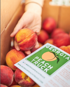 Close-up photograph of a hand selecting a ripe red-and-gold peach from a cardboard box filled with freshly picked peaches. Tucked against the side of the box is a green-and-white Georgia Peach Truck branded card featuring a stylized peach illustration, the company's social media handle (@georgiapeachtruck), and the website www.georgiapeachtruck.com.