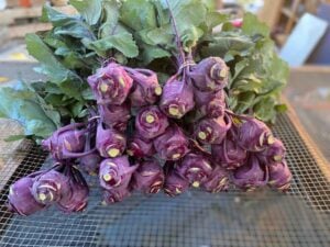 A large bunch of freshly harvested purple kohlrabi rests on a wire mesh table at an outdoor farmers market. The bulbous purple stems are still beaded with water droplets and topped with broad, deep-green leaves veined in purple. The pale, trimmed nubs where smaller stems were cut stand out against the vivid purple skin. Blurred wooden crates and market stalls fill the background.