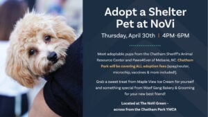 Promotional graphic for an "Adopt a Shelter Pet at NoVi" event on Thursday, April 30th from 4PM to 6PM. The left half features a photograph of a small fluffy tan-colored puppy with curly fur, dark eyes, and a black nose, resting its head on the shoulder of a person wearing a navy blue textured top. The right half is a dark navy background with white and orange text announcing that adoptable pups from the Chatham Sheriff's Animal Resource Center and Paws4Ever of Mebane, NC will be available, with Chatham Park covering all adoption fees including spay/neuter, microchip, and vaccines. The text also mentions treats from Maple View Ice Cream and Woof Gang Bakery & Grooming, and notes the location at The NoVi Green across from the Chatham Park YMCA.