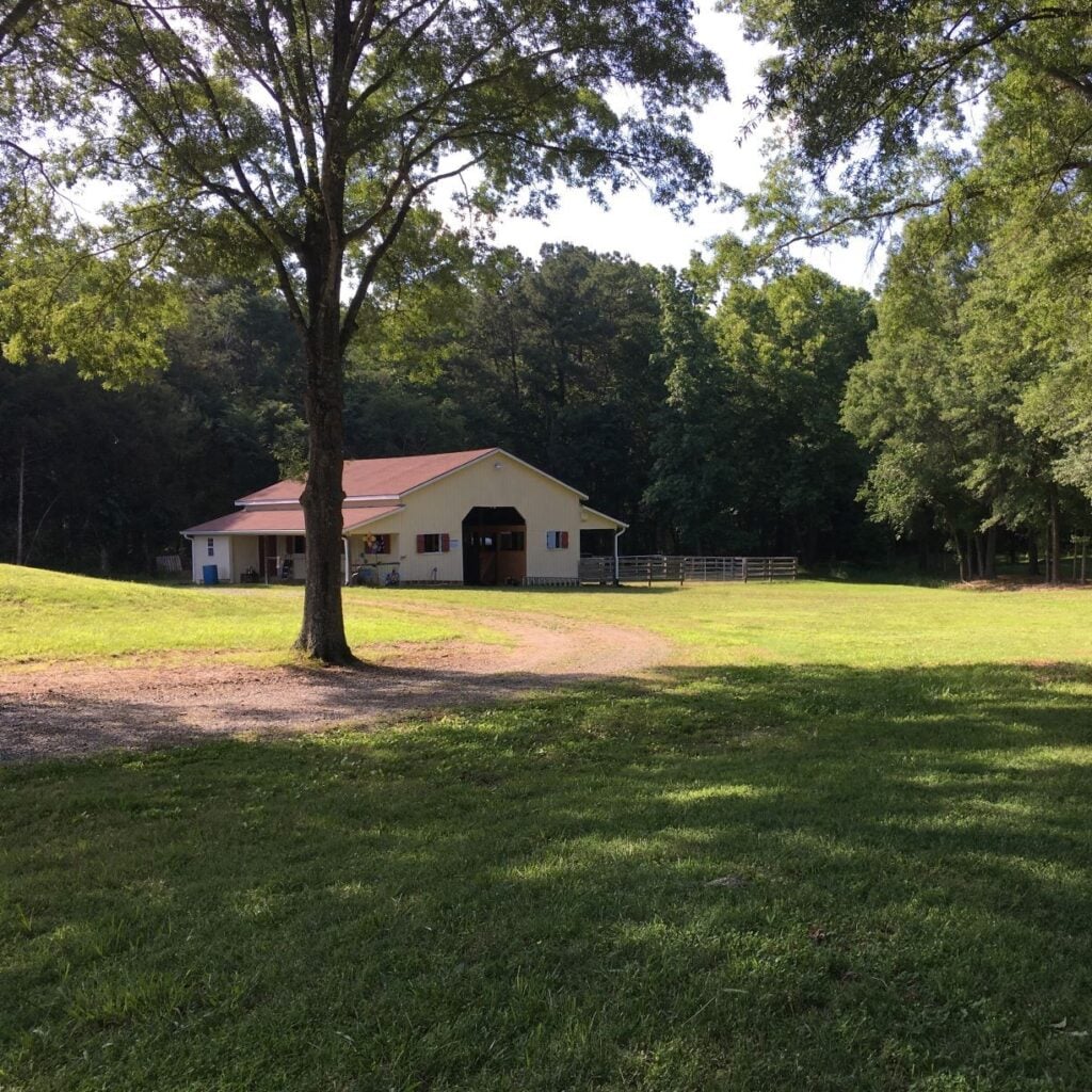 A view of Cool Creek Farm's barn from across a sunlit pasture, framed by the leafy branches of a large foreground tree. The yellow-sided barn has a rust-red metal roof, an open central aisle, and a wooden fence extending from one side into the field. Dense green woods rise behind the structure under a bright sky.