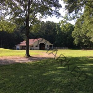 A view of Cool Creek Farm's barn from across a sunlit pasture, framed by the leafy branches of a large foreground tree. The yellow-sided barn has a rust-red metal roof, an open central aisle, and a wooden fence extending from one side into the field. Dense green woods rise behind the structure under a bright sky.