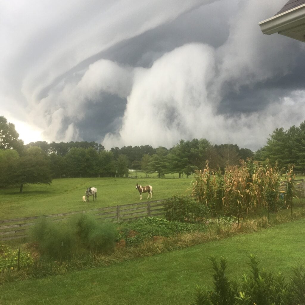 A dramatic dark gray storm cloud system rolls in over Cool Creek Farm, with the distinctive curved underside of a shelf cloud sweeping across the sky. Below, two horses — one white with dark spots and one brown and white pinto — graze peacefully in a green pasture beside a tall stand of corn stalks and a fenced vegetable garden, with the eaves of a building visible at the upper right.