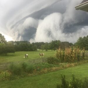 A dramatic dark gray storm cloud system rolls in over Cool Creek Farm, with the distinctive curved underside of a shelf cloud sweeping across the sky. Below, two horses — one white with dark spots and one brown and white pinto — graze peacefully in a green pasture beside a tall stand of corn stalks and a fenced vegetable garden, with the eaves of a building visible at the upper right.