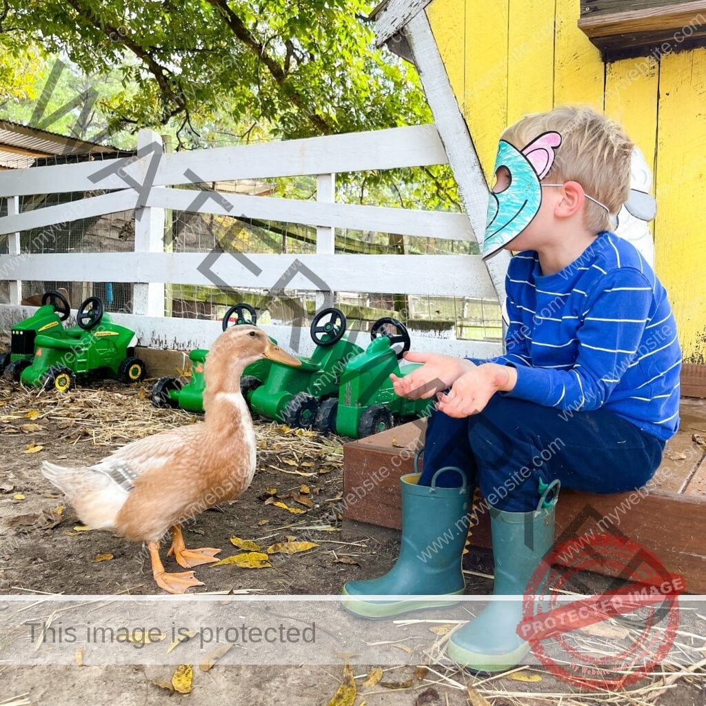 A young boy wearing a hand-colored paper pig mask and green rain boots sits on a wooden step holding his hands out to a tan duck on the ground in front of him. Toy John Deere tractors and a white wooden fence are visible behind them at My Little Farmer Durham.