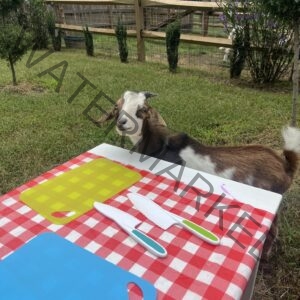 A brown and white goat with floppy ears stands beside a child-sized picnic table set with a red gingham cloth, plastic cutting boards, and toy knives at My Little Farmer Durham. A grassy paddock with white fencing is visible in the background.