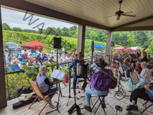 A folk ensemble including an accordionist, guitarist, and string players performs on a covered porch at a vineyard winery, facing a large crowd of seated outdoor guests under colorful umbrellas with lush green grapevines and trees in the background.