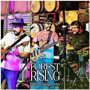 Promotional image for the band Forest Rising, stylized with a posterized comic-book filter in purple and pink tones. Three musicians perform at what appears to be a brewery or taproom, with wooden barrels stacked in the background — a guitarist in a fedora, a bassist in a t-shirt and glasses, and a drummer with headphones. The band name "Forest Rising" appears in bold white serif lettering with the URL forestrising.com below.
