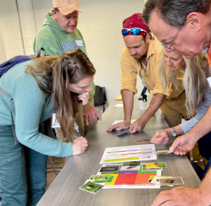 Four adults lean over a table examining educational materials including colorful identification charts and insect or nature photography cards spread across the surface, in what appears to be a workshop or training session setting.