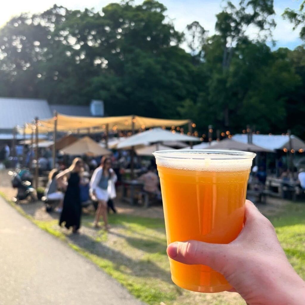 A hand raises a clear plastic cup of golden craft beer toward the camera at Old Mill Farm. The background is softly blurred: sail-shaded outdoor seating draped with string lights, picnic tables filled with guests, and tall green trees beyond. Warm late-day sun bathes the whole scene.