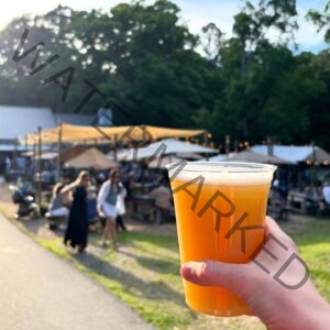 A hand raises a clear plastic cup of golden craft beer toward the camera at Old Mill Farm. The background is softly blurred: sail-shaded outdoor seating draped with string lights, picnic tables filled with guests, and tall green trees beyond. Warm late-day sun bathes the whole scene.