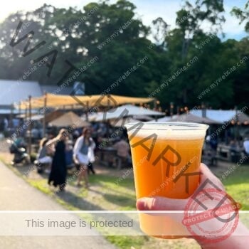 A hand raises a clear plastic cup of golden craft beer toward the camera at Old Mill Farm. The background is softly blurred: sail-shaded outdoor seating draped with string lights, picnic tables filled with guests, and tall green trees beyond. Warm late-day sun bathes the whole scene.