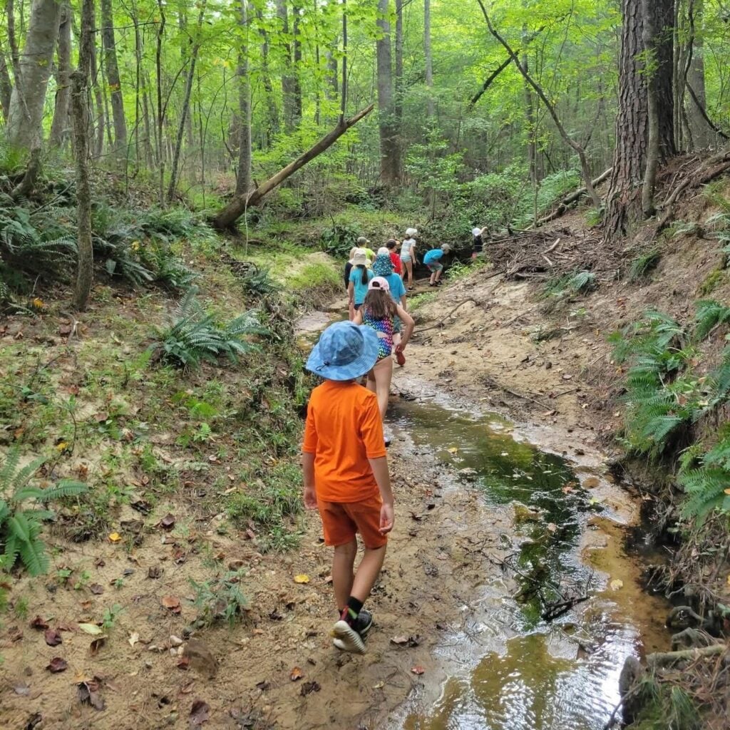 A line of children walk single-file along a shallow, sandy creek bed through a green forest, with ferns and trees lining the banks on both sides.