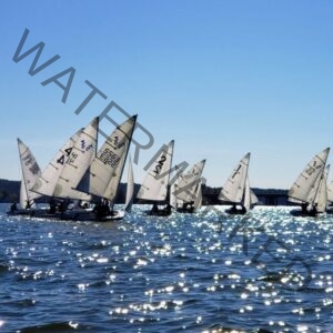 A tightly grouped fleet of small single- and two-person sailing dinghies, sails numbered, race across open water that sparkles with sunlight. A faint shoreline and bridge are visible on the horizon under a clear sky.