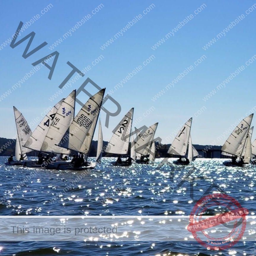 A tightly grouped fleet of small single- and two-person sailing dinghies, sails numbered, race across open water that sparkles with sunlight. A faint shoreline and bridge are visible on the horizon under a clear sky.