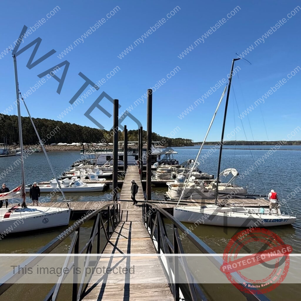 A wooden gangway and dock extend out over calm lake water, lined on both sides with sailboats and pontoon rental boats. A person walks along the dock; a forested shoreline and clear blue sky fill the background.