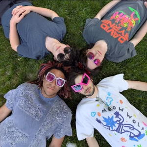 A promotional photo of the four members of Boyz II Mothz lying on green grass, arranged with their heads meeting at the center of the frame and bodies radiating outward, photographed from directly above. Each person wears bold, colorful sunglasses — round dark frames, pink heart-shaped lenses, jeweled square frames, and bright pink angular frames. Their outfits range from gray and denim tops to graphic tees, one reading "Meow Wolf" and another with bold orange-and-green lettering. The group looks up toward the camera with relaxed, playful expressions.