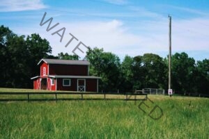 chatham county events